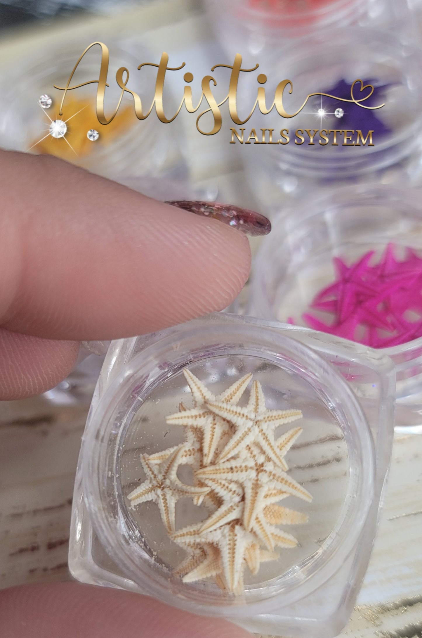 Estrellas de Mar