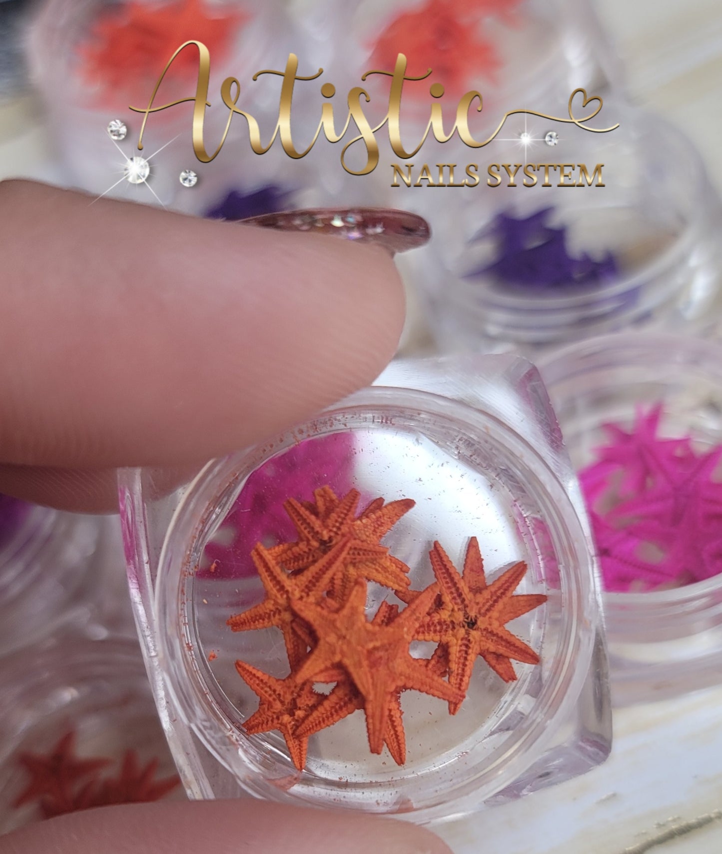 Estrellas de Mar